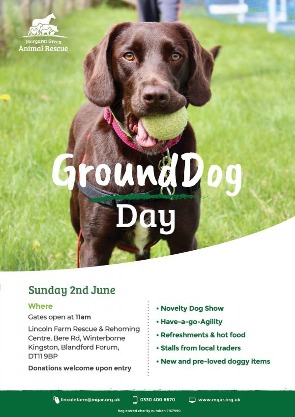 GroundDog Day Poster 2024